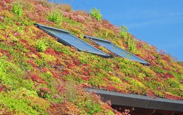 Armscote living roof systems